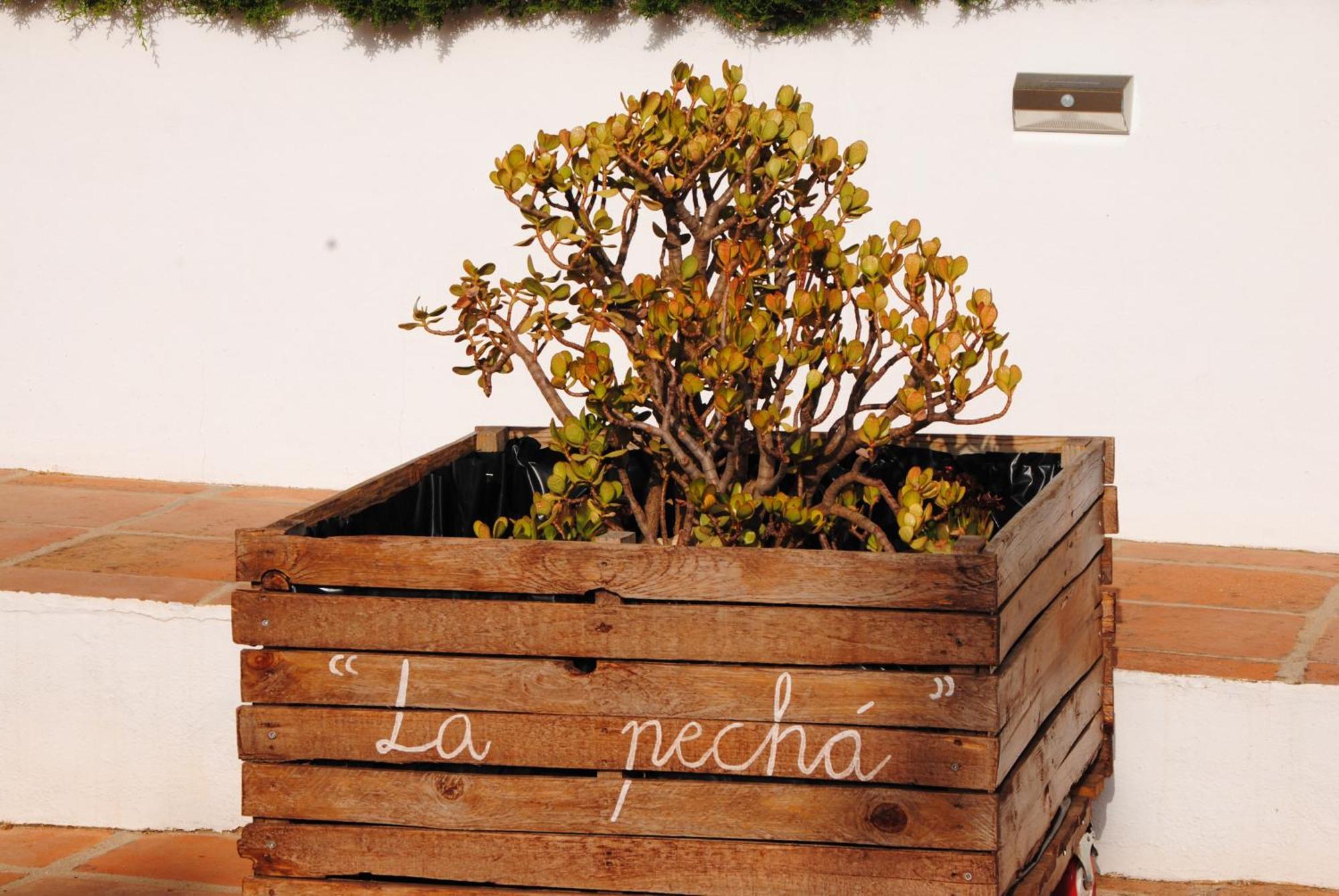 Casa La Pecha, Ronda Villa Exterior photo